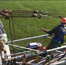 Power Cabling From Above: Click Here To View Larger Image