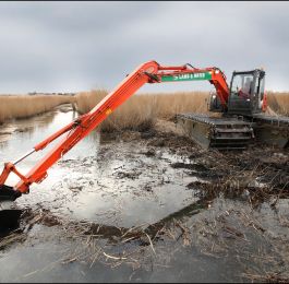 Southwold Reed-bed Cleaning: Click Here To View Larger Image